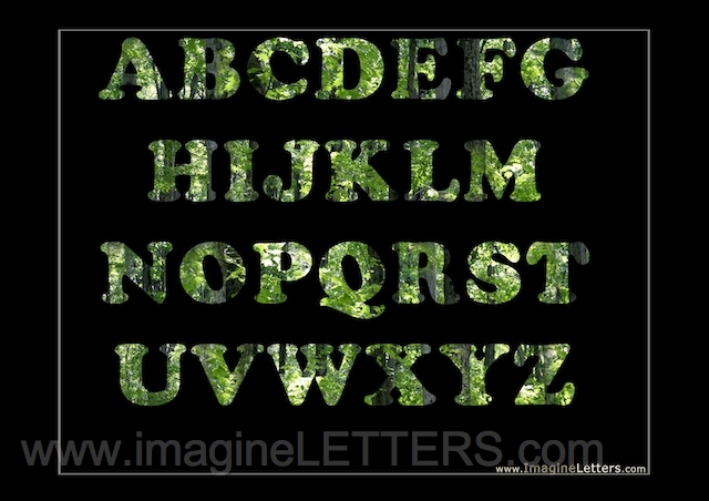 Wall_Art_Alphabet_Photography_Art_ 144.jpg